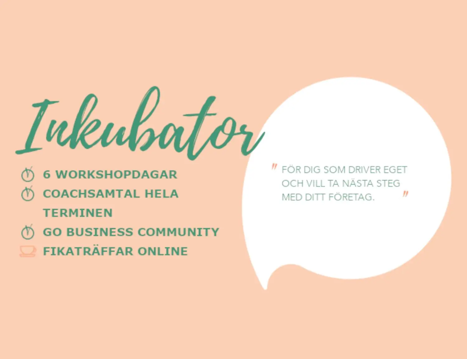 inkubator3nywebb2